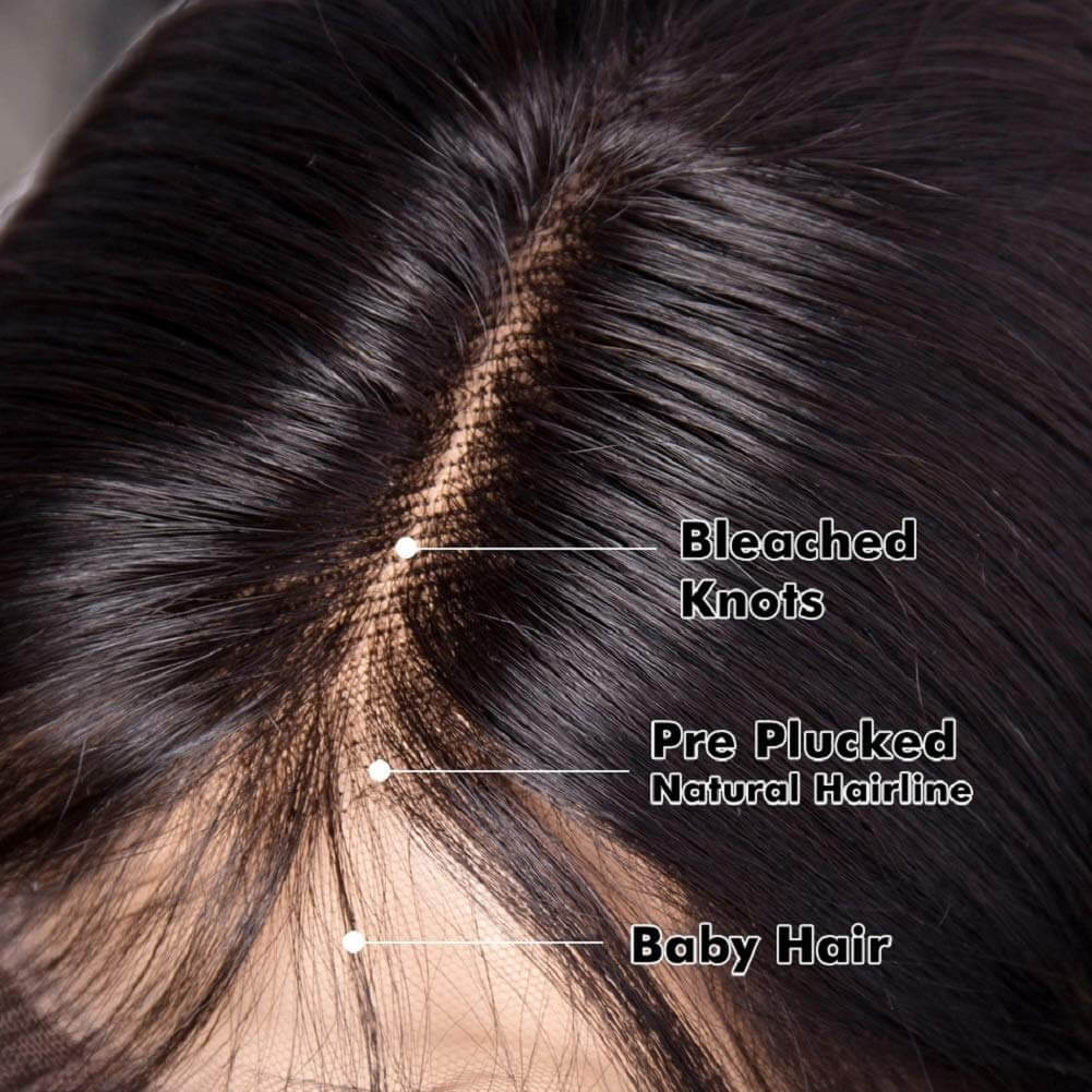 Beaudiva 5x5 Lace Closure Wig Body Wave Wigs 100% Human Hair Wigs With Baby Hair Pre Plucked