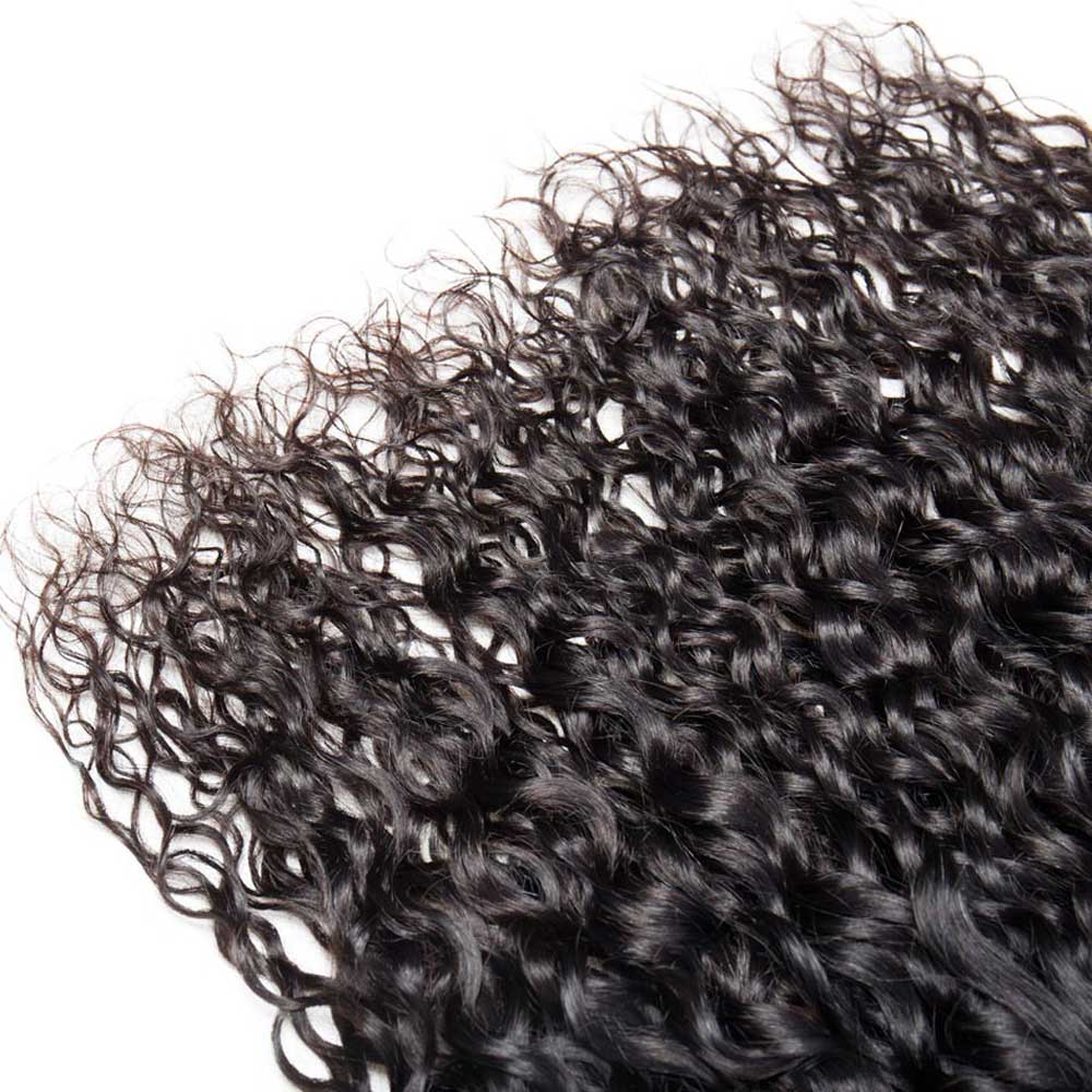 Beaudiva 10A Human Hair Bundles Water Wave Bundles 4 Bundles with 4x4 Lace Closure